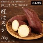 ショッピング干しいも ＼期間限定 新物／ 訳あり 井上さつま 紅はるか 5,000g お歳暮 選べるサイズ Mサイズ Lサイズ 新物 ブランド芋 茨城県産 筑西市産 さつまいも サツマイモ いも