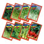 野菜の種 ちびタネ 野菜の種子 1000袋セット 野菜の種 ノベルティ 総付け景品 総付景品