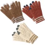 240個単位販売 アムテ スマホグローブ あたたかみのある色合いのニット手袋 ぬくもりグッズ 冬物グッズ 販促品 ノベルティグッズ