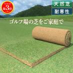  газонная трава сырой натуральный газонная трава отдушина газонная трава roll шт газонная трава ( газонная трава сырой почтовый заказ )