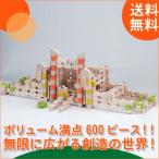 エドインター 森のあそび道具 ユークリッド ブロック（600ピース