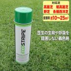  газонная трава сырой для окраска . eko полоса 