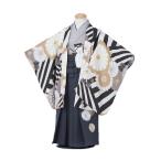 ショッピング七五三 七五三レンタル ラフィネ MonoClassic 3歳男児AO3016/七五三着物/レンタル七五三/753レンタル/袴セット/七五三/3歳/男児着物/黒菊/紺袴/羽織袴/3歳男の子/3才