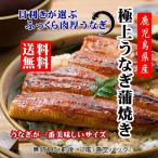 ショッピングうなぎ 蒲焼き 国内産 送料無料 グルメ うなぎ ＜約140g×2尾＞ 蒲焼き 国産 鹿児島 鰻 ギフト 内祝い