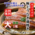 ショッピングうなぎ 蒲焼き 国内産 送料無料 ギフト グルメ うなぎ＜約165g×2尾＞ 大 蒲焼き 国産 鹿児島 鰻 内祝い