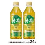 ショッピング特茶 サントリー 伊右衛門 特茶 500ml １ケース 24本入 特保 自動販売機用