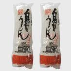 大兼製麺工場大兼の島田うどん250...