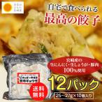 いっちゃがの宮崎餃子レギュラー Ｂ級グルメ　国産　送料無料　お徳用12パック　10個入り  お取り寄せグルメ