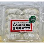 ショッピングギョウザ 餃子　宮崎　宮崎餃子　しそ入りギョウザ（3パック）25~27gx10個入り 送料無料 国産 B級グルメ お取り寄せグルメ 宮崎グルメ