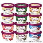 父の日 メッセージ お中元 ギフト対応 ハーゲンダッツ ミニカップ12個セット 定番商品5種類+ザ・ミルク 各2個