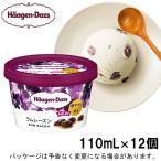 母の日 メッセージ ギフト対応 ハーゲンダッツ ミニカップ ラムレーズン 110ml×12個