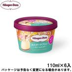 母の日 メッセージ ギフト対応 ハーゲンダッツ ミニカップ カスタードプリン〜クリームリッチ〜 110ml×6入