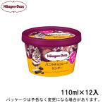 父の日 ギフト対応 ハーゲンダッツ ミニカップ バニラチョコレートサンデー 110ml×12入 北海道沖縄離島は配送料追加