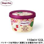 母の日 メッセージ ギフト対応 ハーゲンダッツ ミニカップ リッチフロマージュ〜華やぐ苺〜 110ml×12入