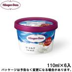 母の日 メッセージ ギフト対応 ハーゲンダッツ ミニカップ ザ・ミルク 110ml×6入