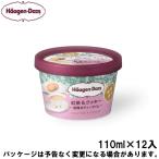 お中元 夏ギフト スイーツ アイス ギフト対応 ハーゲンダッツ ミニカップ 紅茶&クッキー 〜優雅なティータイム〜 110ml×12入