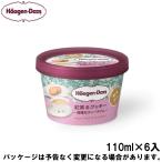 母の日 メッセージ ギフト対応 ハーゲンダッツ ミニカップ 紅茶&クッキー 〜優雅なティータイム〜 110ml×6入