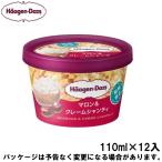 ショッピングハーゲンダッツ お歳暮 冬ギフト スイーツ アイス ギフト対応 ハーゲンダッツ ミニカップ マロン＆クレームシャンティ 110ml×12入