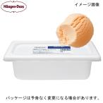 ハーゲンダッツ 業務用 キャラメル 2000ml×1入