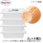 ショッピングハーゲンダッツ ハーゲンダッツ 業務用 キャラメル 2000ml×4入 北海道沖縄離島は配送料追加