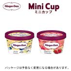 母の日 メッセージ ギフト対応 ハーゲンダッツ ミニカップ12個セット バニラ・ストロベリー 各6個