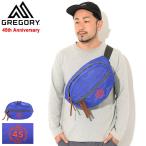 グレゴリー ウエストバッグ GREGORY 45th テールメイト S ( 45th Tailmate S Waist Bag 45周年 ウエストポーチ ヒップバッグ 1196529173 )