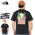 ノースフェイス Tシャツ 半袖 メンズ THE NORTH FACE ヨセミテ フォール ( Yosemite Falls S/S Tee 2021春夏 T-SHIRTS カットソー NT32105 )