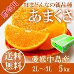 みかん あまくさ 中島産 5kg 赤秀 2L-3L 贈答用 愛媛県 みかん ミカン 贈答用 JAえひめ中央 プレゼント 御礼 御祝 フルーツ