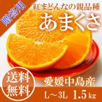 みかん あまくさ 中島産 1.5kg 青秀 M-3L 贈答用 愛媛県 みかん ミカン 贈答用 JAえひめ中央 プレゼント 御礼 御祝 フルーツ