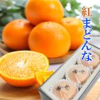 2024 お歳暮 ギフト 紅まどんな 匠と極 中玉 3玉入り 2L約750g 中島産 みかん ミカン 贈答用 愛媛県産 御歳暮 紅マドンナ 御礼 御祝 フルーツ