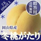 2025 ギフト  岡山 の 白桃 冬桃がたり ロイヤル2玉 約400g以上 贈答用 天然 スイーツ 御礼 御祝 フルーツ 【11月下旬ごろより発送】
