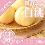 商品画像2