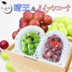 2025 ギフト 岡山県産 シャインマスカット 晴王 クイーンニーナ 赤秀品 大粒 2房 (400g×2) 贈答用 御中元 葡萄 ブドウ プレゼント 御礼 御祝 果物 フルーツ