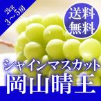 2025 подарок Okayama префектура производство автомобиль in мускат .. красный превосходящий товар 2kg (3~5.).. для . средний изначальный .. виноград виноград подарок ... праздник .. фрукты фрукты 
