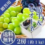 2025 ギフト 岡山県産 シャインマスカット 晴王 ピオーネ 赤秀品 大粒 2房 (500g×2) 贈答用 御中元 葡萄 ぶどう ブドウ プレゼント 御礼 御祝 果物 フルーツ