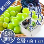 ショッピングシャインマスカット 2024 ギフト 岡山県産 シャインマスカット 晴王 ピオーネ 赤秀品 大粒 2房 (500g×2) 贈答用 御中元 葡萄 ぶどう ブドウ プレゼント 御礼 御祝 果物 フルーツ