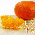 ショッピング甘平 みかん 甘平 （ かんぺい ） 中島産 1.3kg 赤秀 L-3L 4-9玉贈答用 愛媛県 JAえひめ中央 ギフト ミカン プレゼント 御礼 御祝 フルーツ ２月上旬頃より