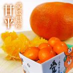 ショッピング甘平 みかん 甘平 （ かんぺい ） 中島産 2.2kg 赤秀 大きさお任せ 贈答用 愛媛県 JAえひめ中央 ギフト ミカン プレゼント 御礼 御祝 フルーツ ２月上旬頃より