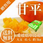 みかん 甘平 （ かんぺい ） 中島産 3kg 赤秀 L-4L 贈答用 愛媛県 JAえひめ中央 ギフト ミカン プレゼント 御礼 御祝 フルーツ