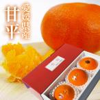 ショッピング甘平 みかん 甘平 （ かんぺい ） 中島産 青秀 3玉３L 贈答用 愛媛県 JAえひめ中央 ギフト ミカン プレゼント 御礼 御祝 フルーツ ２月上旬頃より