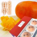 みかん 甘平 （ かんぺい ） 中島産 匠と極 3玉３L 贈答用 愛媛県 JAえひめ中央 ギフト ミカン プレゼント 御礼 御祝 フルーツ