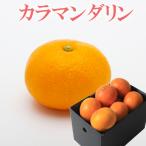 みかん カラマンダリン 青秀品 S〜Lサイズ 1.3kg JAえひめ中央 中島産 愛媛県 ギフト 母の日 プレゼント 御礼 御祝 フルーツ