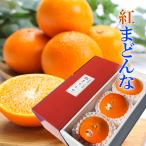2024 お歳暮 ギフト 紅まどんな 特大玉 3玉入り 約1.1kg 青秀4Lサイズ 中島産 みかん ミカン 贈答用 愛媛県産 御歳暮 紅マドンナ フルーツ