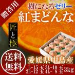 2024 お歳暮 ギフト 紅まどんな 3kg 赤秀 匠と極 2L〜4L 8-12玉 中島産 みかん ミカン 贈答用 愛媛県産 御歳暮 紅マドンナ フルーツ