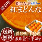 2023 お歳暮 ギフト 紅まどんな 3kg 赤秀 3L〜4L 8-10玉 中島産 みかん ミカン 贈答用 愛媛県産 御歳暮 紅マドンナ フルーツ