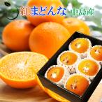 2024 お歳暮 ギフト 紅まどんな Lサイズ6玉入り 秀品 みかん ミカン 贈答用 愛媛県産 御歳暮 紅マドンナ プレゼント 御礼 御祝 御供 果物 くだもの フルーツ