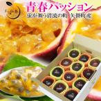  маракуйя юность passion 12 шар примерно 60g-70g превосходящий товар Okayama префектура стрела . блок производство .. для подарок подарок . праздник .. внутри праздник день рождения фрукты .. было использовано фрукты 