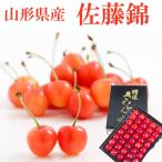 すぐ発送 山形県産 ハウス 佐藤錦 さくらんぼ 300g 特秀品 2Lサイズ 手詰め化粧箱入り 贈答 ギフト 母の日