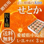 せとか 赤秀 匠と極 L-2L 約3kg 贈答用 愛媛県 中島産 みかん JAえひめ中央 ミカン ギフト プレゼント 御礼 御祝 御供 果物 くだもの フルーツ