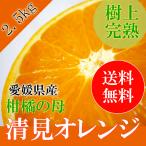 送料無料 清見オレンジ 秀品 2.5kg Lサイズ 贈答用 化粧箱入 お中元 御中元